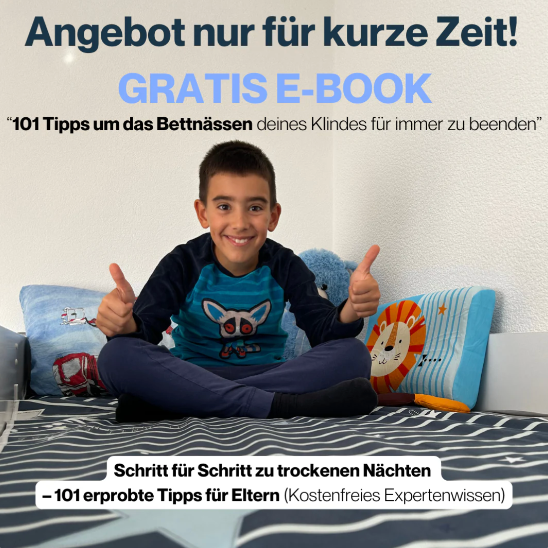 SafeNights™ - Premium Matratzenschutz